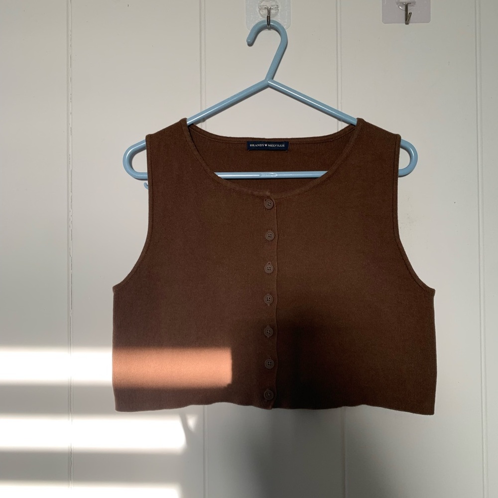 Brandy Melville brown crop top